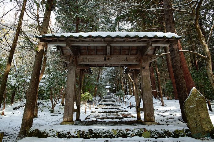 お写ん歩: Sigma 20–200mm F3.5–6.3 DG | Contemporaryアーカイブ